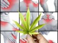 Chronic Pain Treatment and Cannabis Therapy