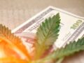 Arizona cannabis will generate over $1 billion in revenue in 2021