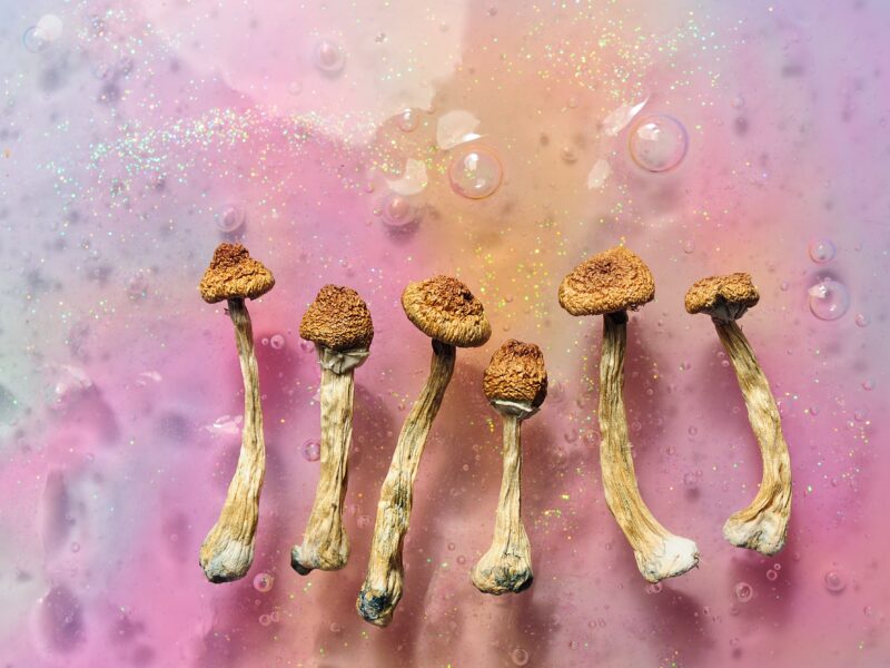 Canada's regulators are making psychedelic drugs easier to access