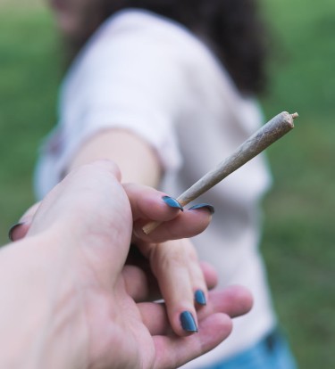 the future is female for cannabis
