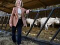 Liz Truss visits Twelve Oaks Farm in Newton Abbot, south west England, Monday Aug. 1, 2022. Rishi Sunak and Foreign Secretary Liz Truss are running to succeed Boris Johnson as party leader. The winner will be chosen by Conservative Party members acro