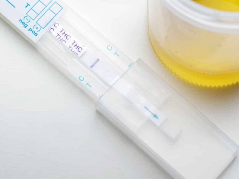 Will CBD Test Positive on a Drug Test?