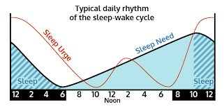 Sleep wake cycle and cbd