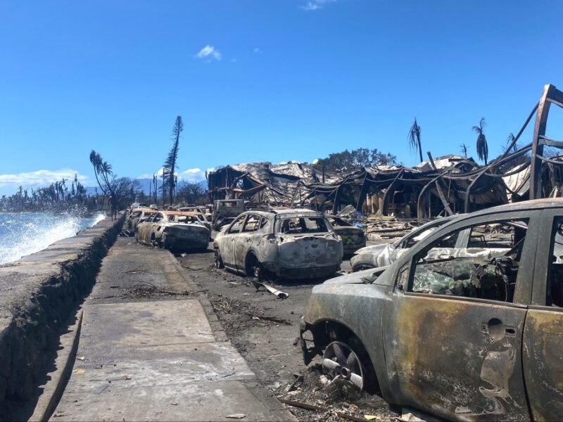 Maui Film Commissioner Tracy Bennett Describes Wildfire, Devastation – Deadline
