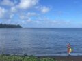 Why corals in American Samoa are thriving despite warmer oceans 