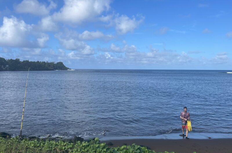 Why corals in American Samoa are thriving despite warmer oceans 