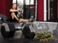 cannabis exercise recovery
