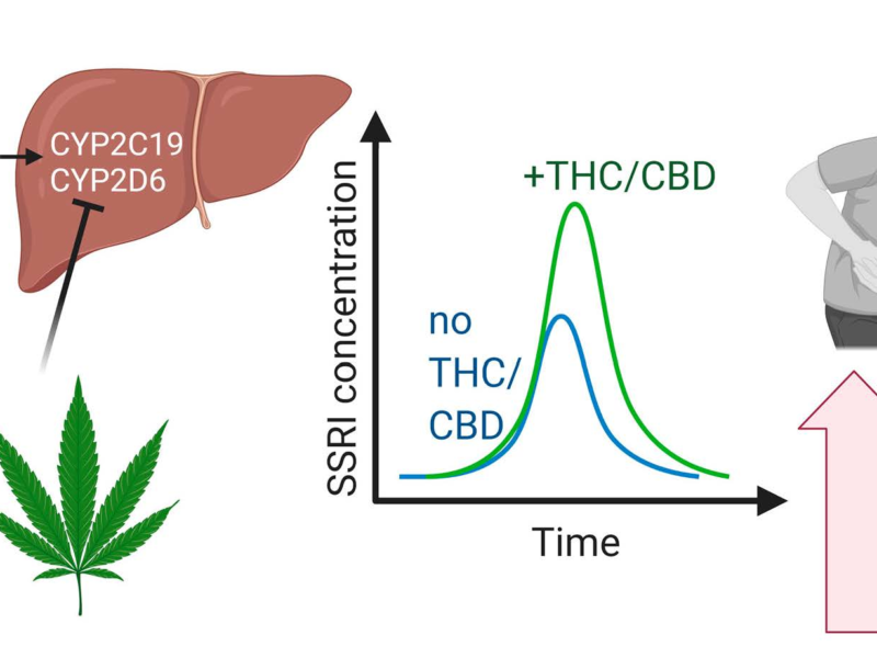 Can You Use Cbd With Zoloft
