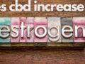 Does Cbd Increase Estrogen