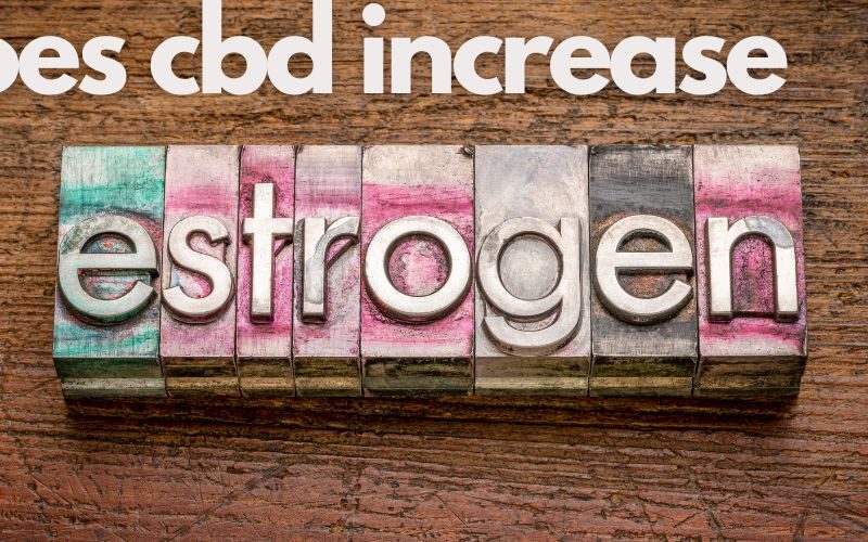Does Cbd Increase Estrogen