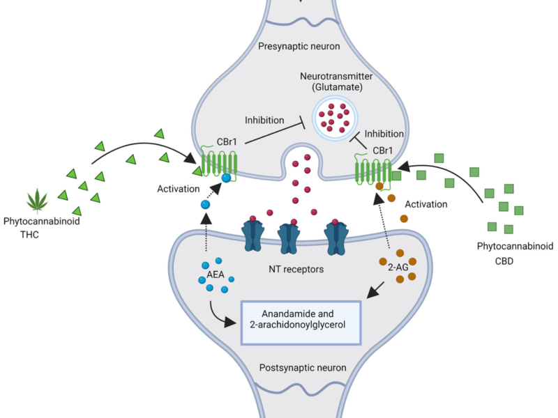 Does Cbd Oil Interact With Steroid Injections