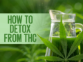 How to Get Rid of Cbd Oil in Your System